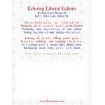Echoing Liberal Echoes