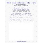 The Indestructible Jew