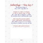 Subterfuge - You Say