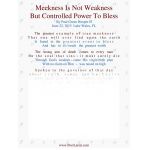 Meekness Is Not Weakness, But Controlled Power To Bless