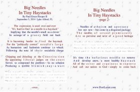 Big Needles In Tiny Haystacks